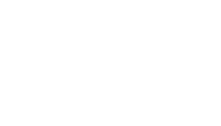 trapstar white logo